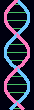 DNA